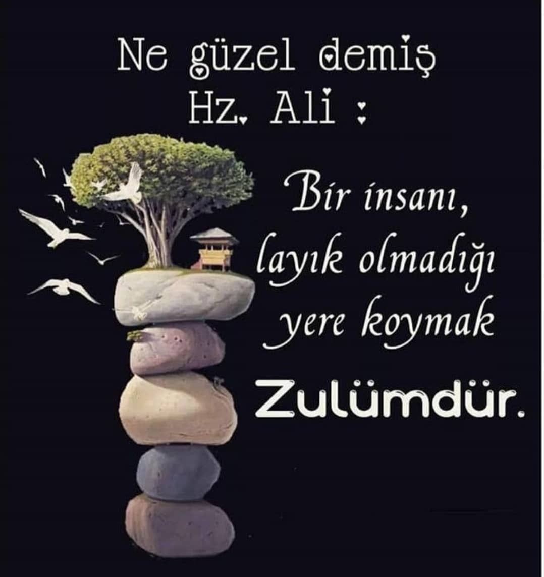 Hz ali en guzel sozleri hz ali resimli sozleri 10
