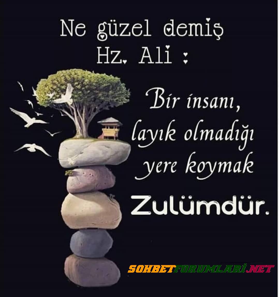 Hz ali en guzel sozleri hz ali resimli sozleri 10