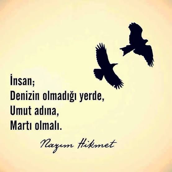 Images 17