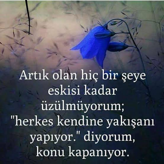 Images 22