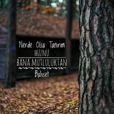 Images 5