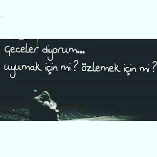 Images 6