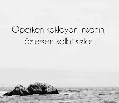 Images 8