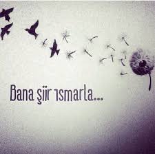 ImagesL1RXKD8R