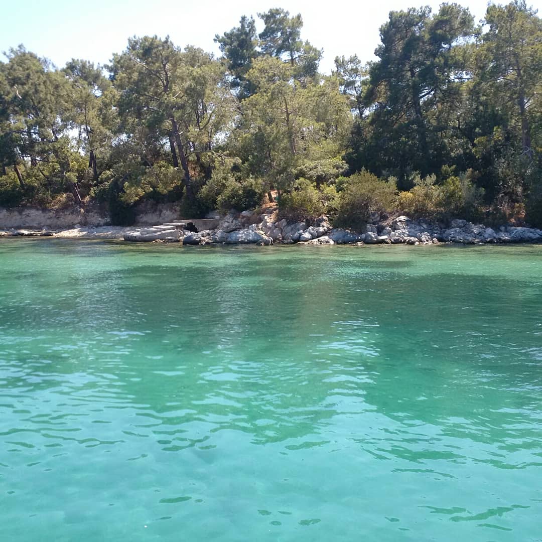 IMG 20180513 160914 166
