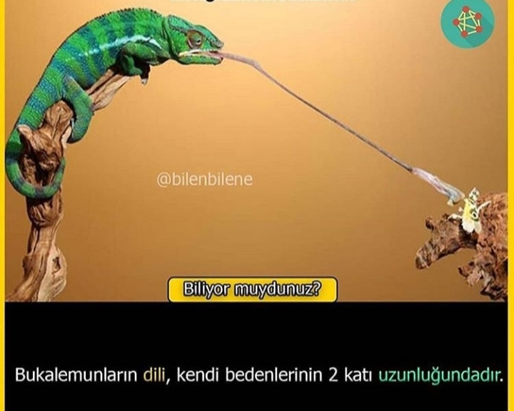 IMG 20200211 092457