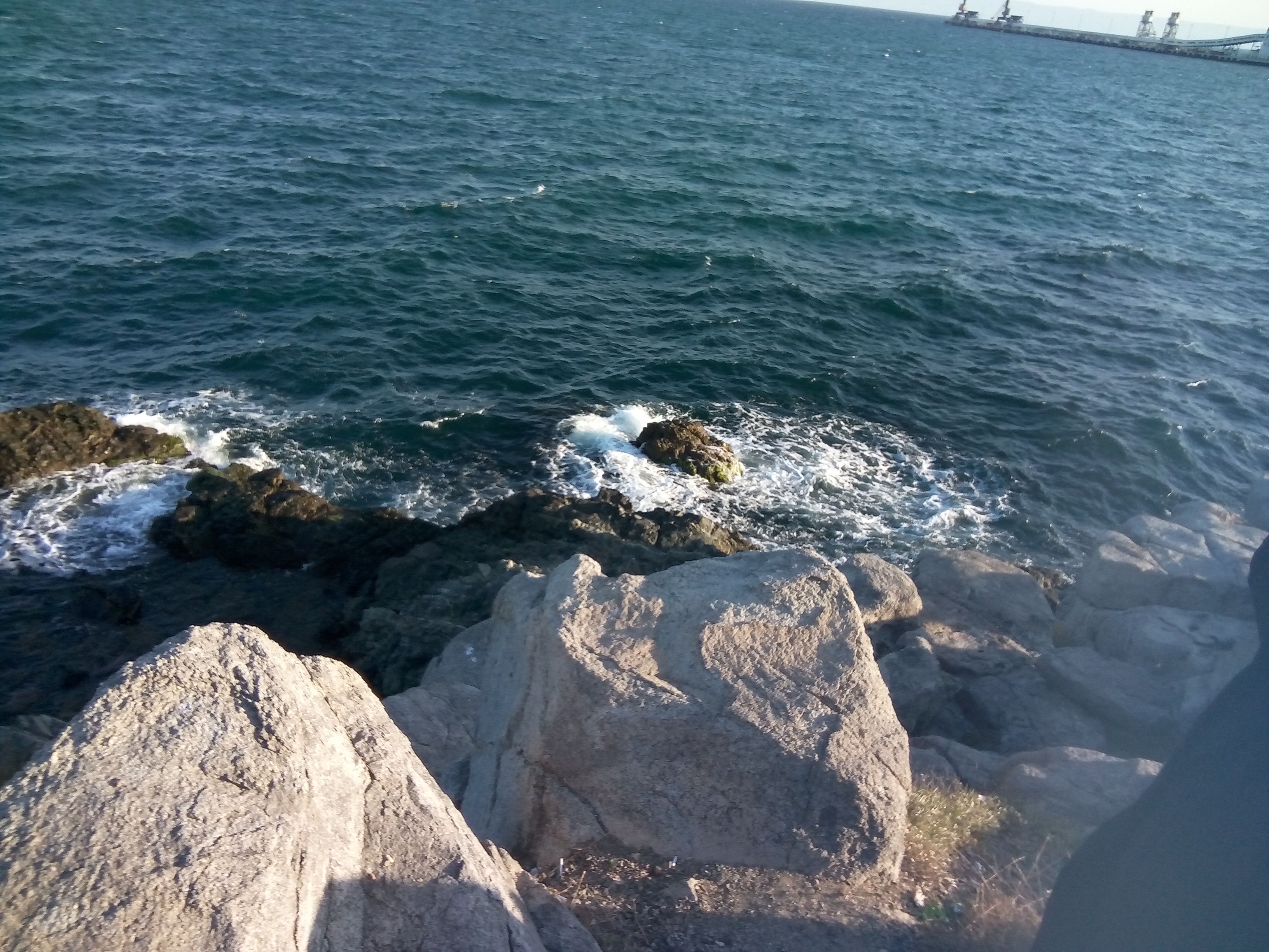 IMG 20200815 185149