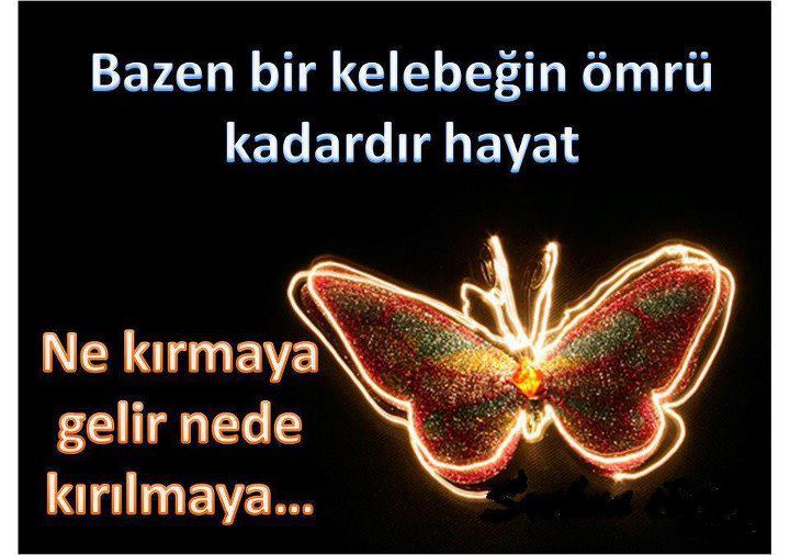 Kelebek