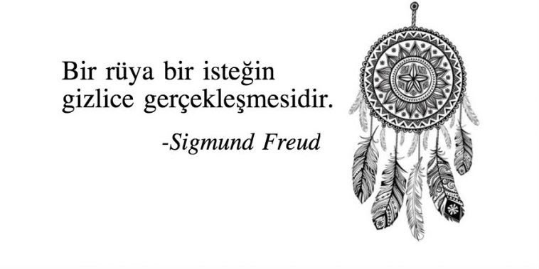 Rya sigmund