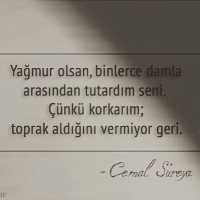 Toprak