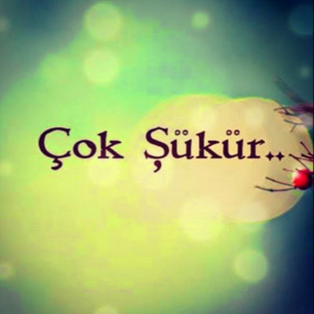 Tumblr nkwnorX9Z01tt9npso1 1280