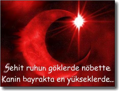 Turkiye bayragi
