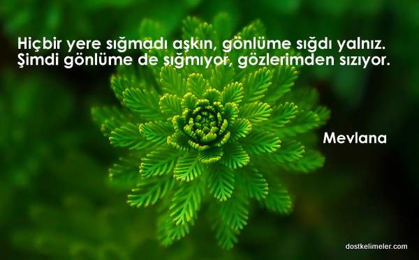 Uytrewqasdfghjk
